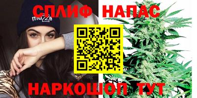 дживик Кунгур