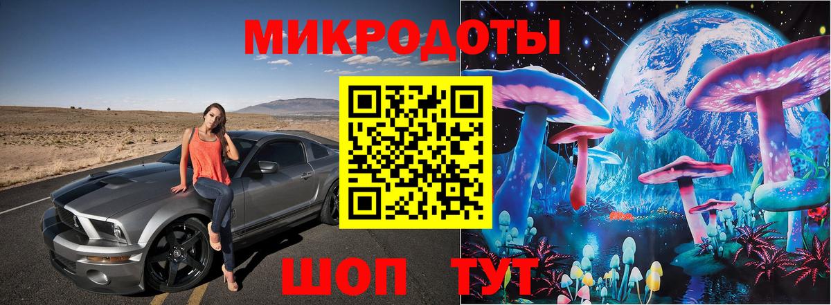 Псилоцибиновые грибы прущие грибы Кириши