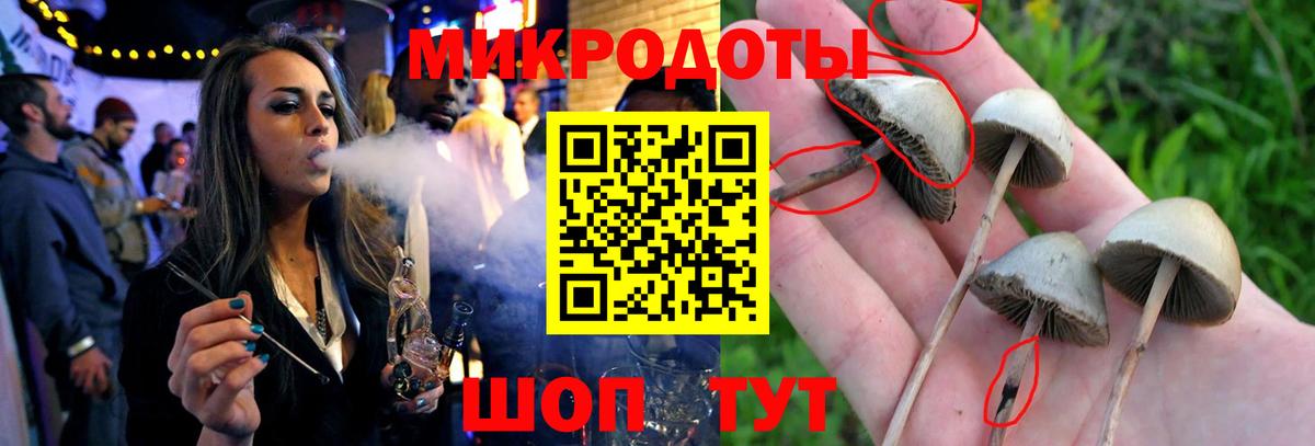 Кириши  Галлюциногенные грибы мухоморы  Вход с VPN 